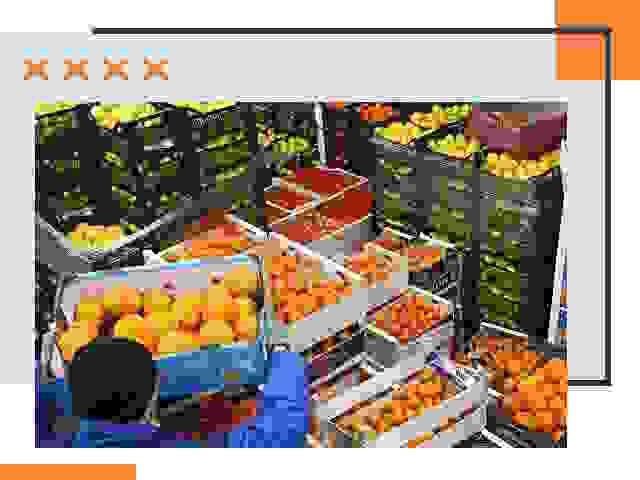 Перевозка скоропортящихся продуктов в Бугульме
